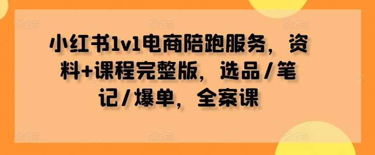 小红书1v1电商陪跑服务，资料+课程完整版，选品/笔记/爆单，全案课[db:副标题]-六八创富资源网