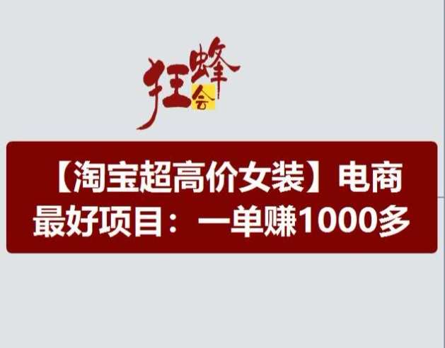 淘宝超高价女装项目，电商最好赛道，一单赚1000多[db:副标题]-六八创富资源网