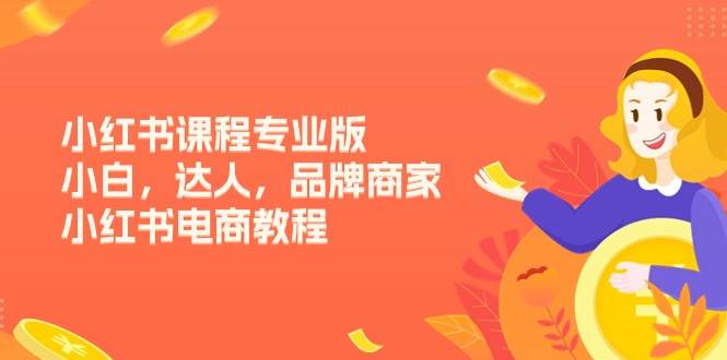 小红书课程专业版，小白，达人，品牌商家，小红书电商教程（15节）[db:副标题]-六八创富资源网