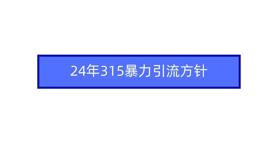 （9398期）2024年315暴力引流方针[db:副标题]-六八创富资源网