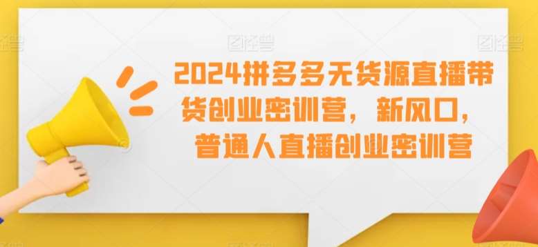 2024拼多多无货源直播带货创业密训营，新风口，普通人直播创业密训营[db:副标题]-六八创富资源网