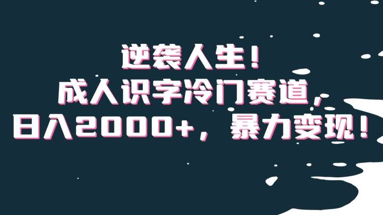 逆袭人生！成人识字冷门赛道，日入2000+，暴力变现！【揭秘】[db:副标题]-六八创富资源网