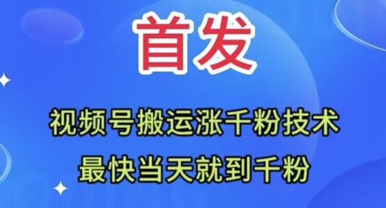 全网首发：视频号无脑搬运涨千粉技术，最快当天到千粉【揭秘】[db:副标题]-六八创富资源网