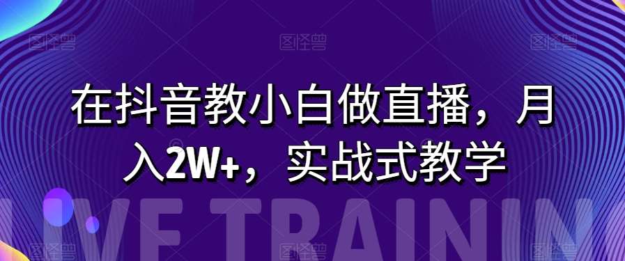 在抖音教小白做直播，月入2W+，实战式教学【揭秘】[db:副标题]-六八创富资源网